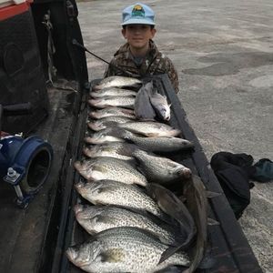 Meet your Posher, Lloyd